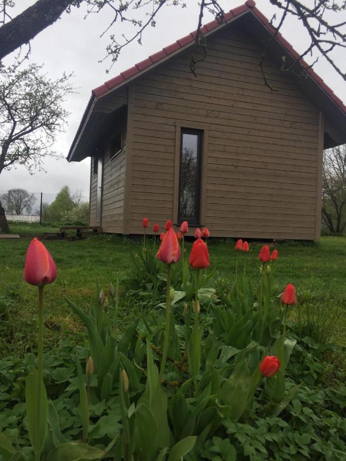 Holiday House Ausekla Namins Cesis Luaran gambar